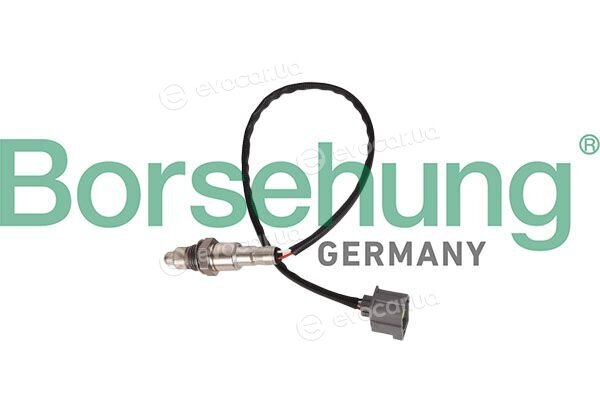 Borsehung B13179