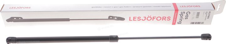 Lesjofors 8127601