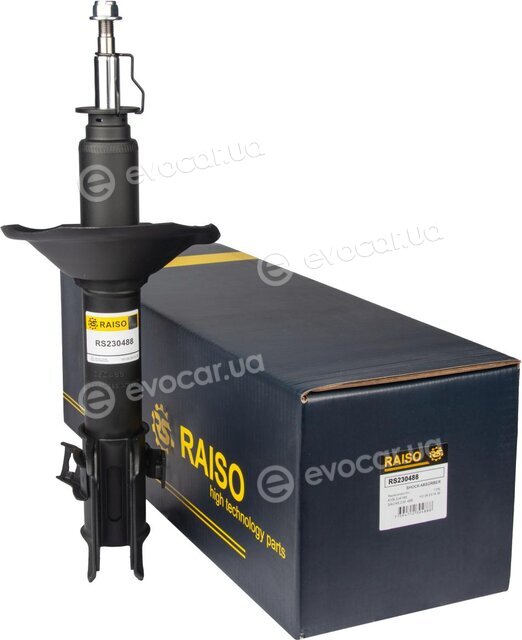 Raiso RS230488