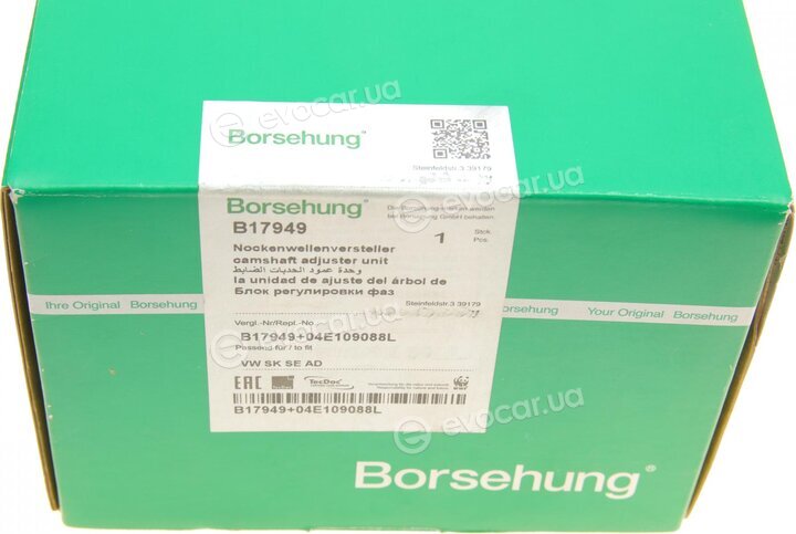 Borsehung B17949