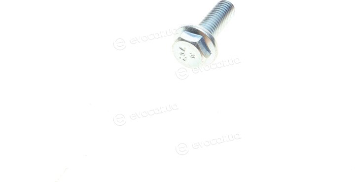 Solgy 203091