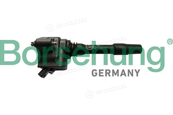 Borsehung B10696