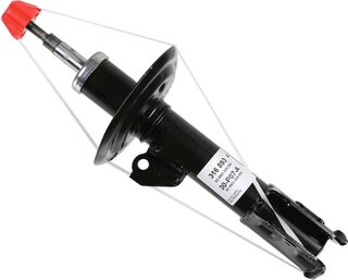 Sachs 316 893