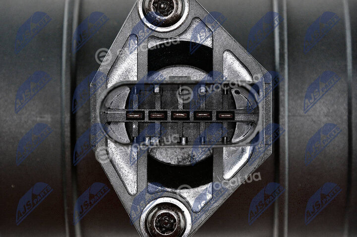 NTY EPP-AU-020