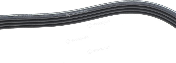 Dayco 4PK1755