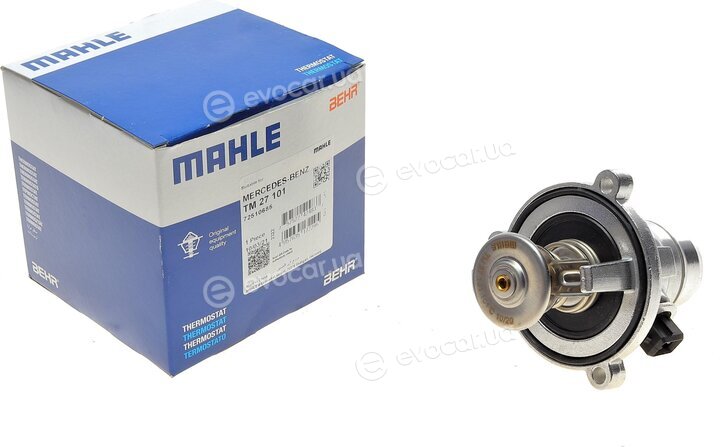 Mahle TM 27 101