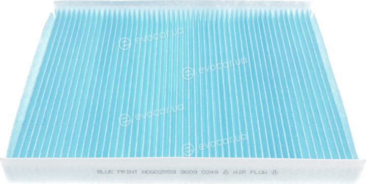 Blue Print ADG02559