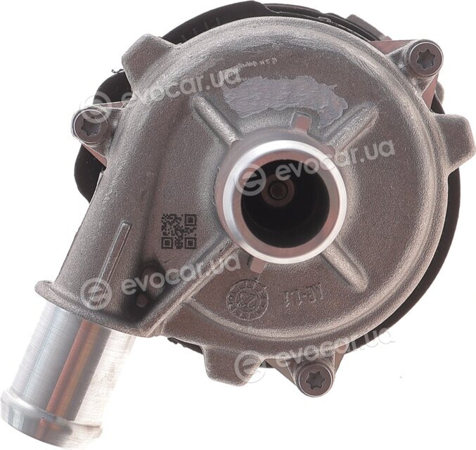 Hepu P698