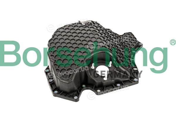 Borsehung B10659
