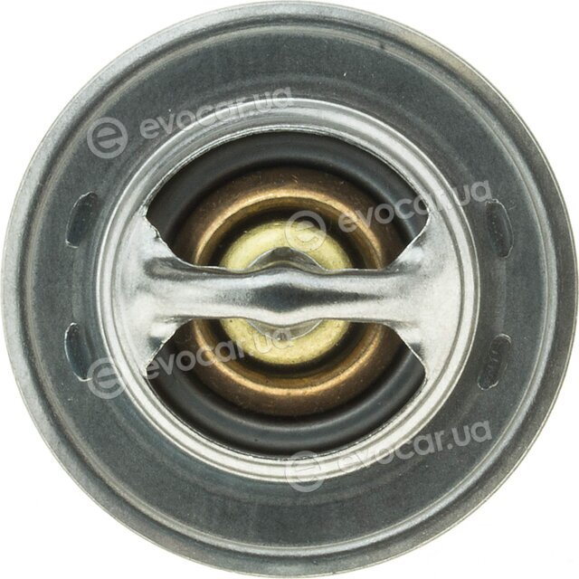 Motorad 202-88K