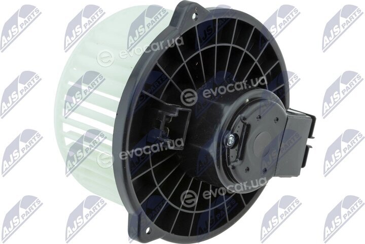 NTY EWN-SB-002