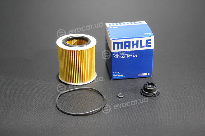 Mahle OX 387D1