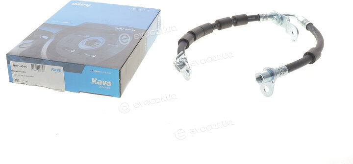 Kavo BBH-4546