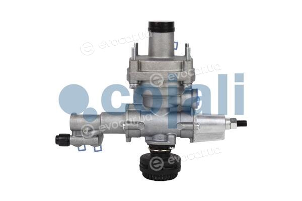 Cojali 2220460
