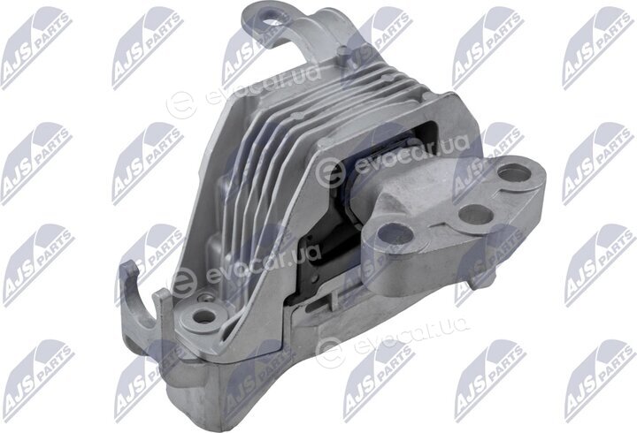 NTY ZPS-PL-061