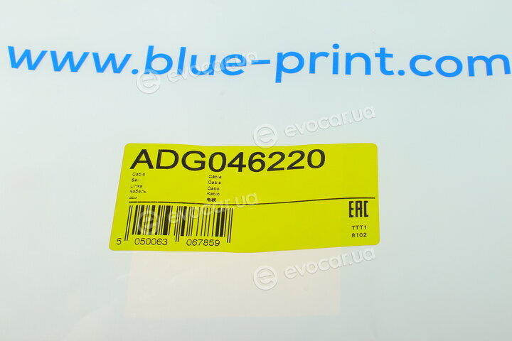 Blue Print ADG046220