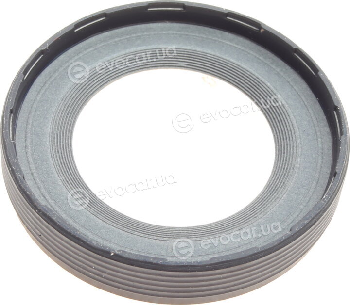 Elring 387.500