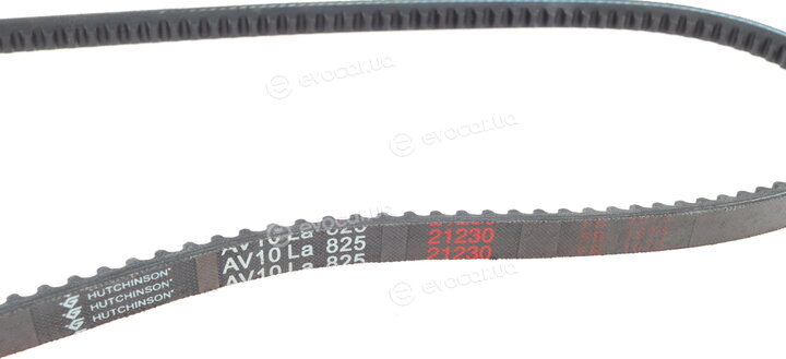 Hutchinson AV 10 La 825