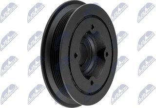 NTY RKP-PL-001