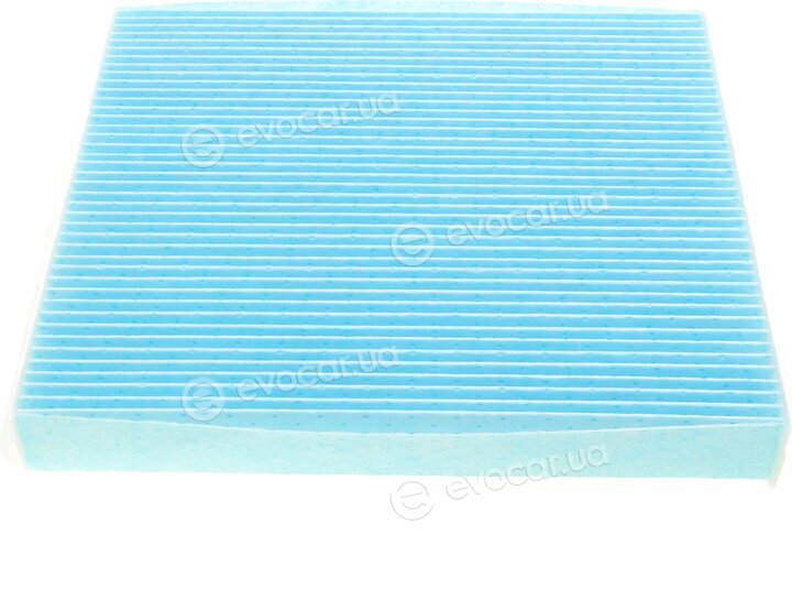 Blue Print ADW192506