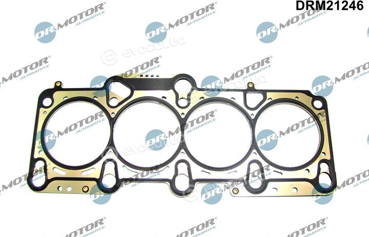 Dr. Motor DRM21246