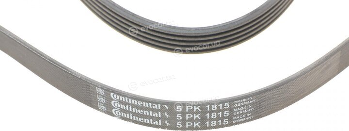 Continental 5PK1815