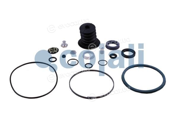 Cojali 6034038