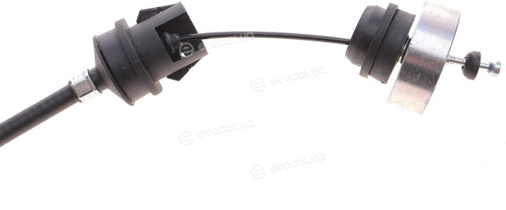 Solgy 118007
