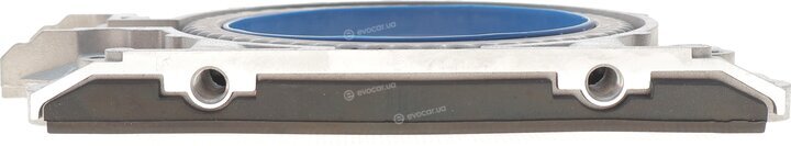 Elring 786.190