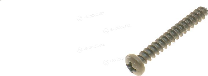 Rotweiss RW54032