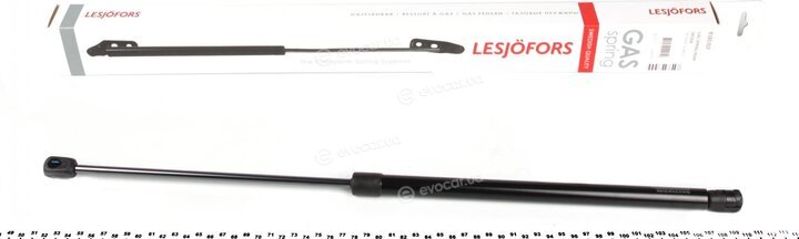 Lesjofors 8185707