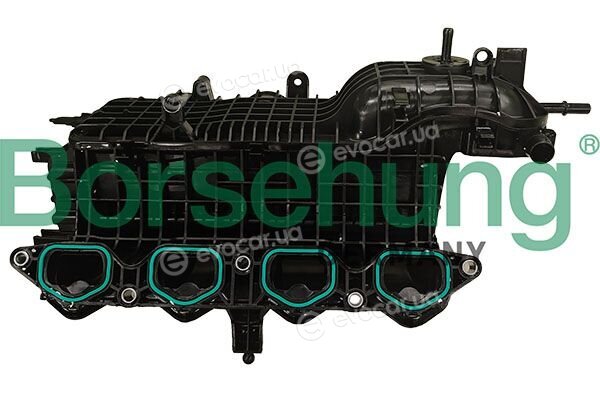 Borsehung B13494