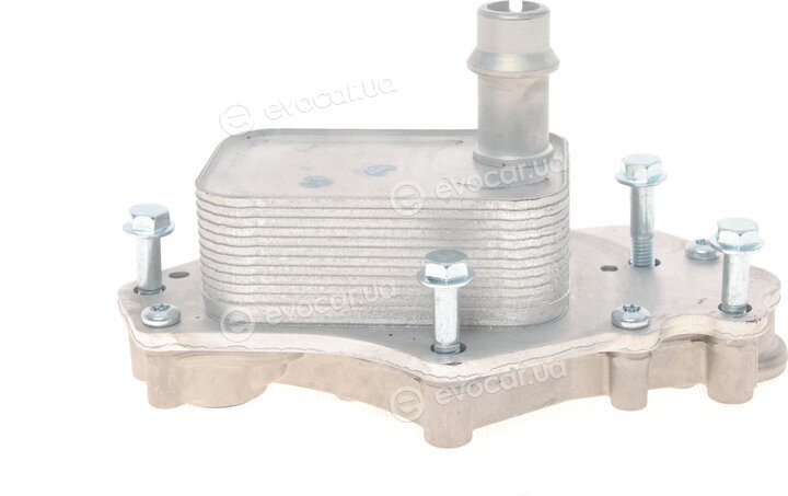 Van Wezel 37013703