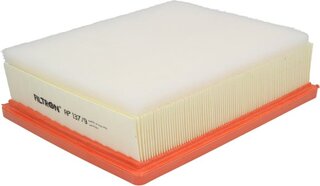 Filtron AP 137/9