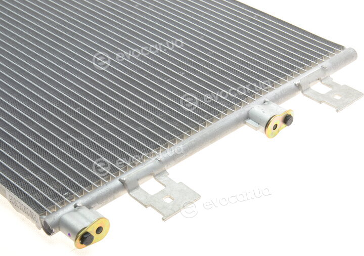 Van Wezel 43005467
