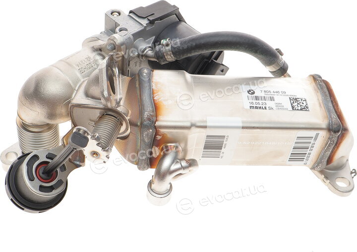 BMW / Mini 11 71 7 805 446