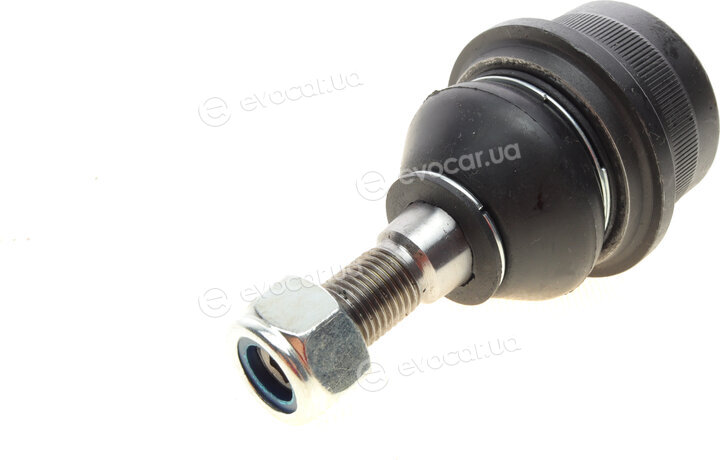 Solgy 203009