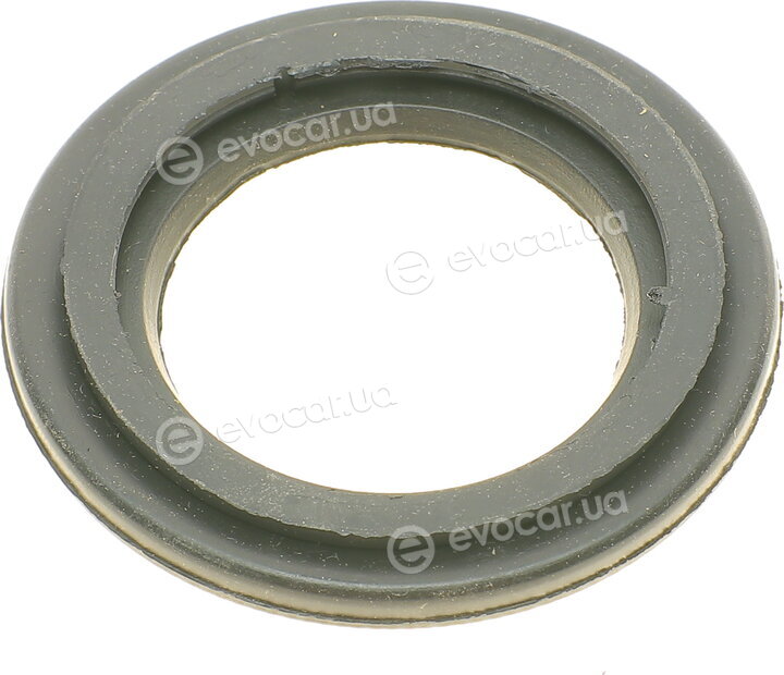 Belgum BG0164
