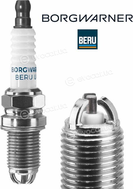 BorgWarner Z246