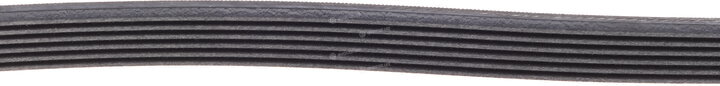 Continental 6PK1059 ELAST