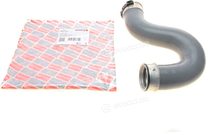 Bogap C1711161