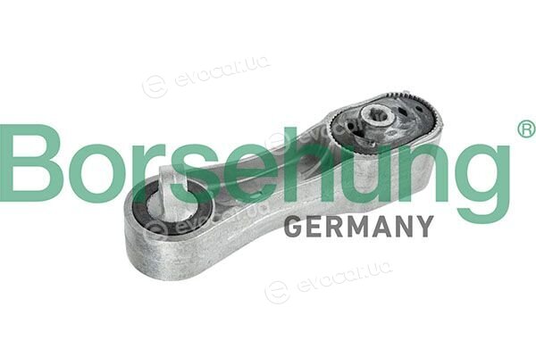 Borsehung B12980