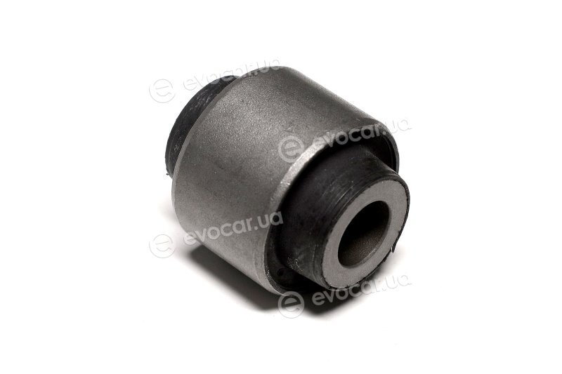 Sasic 2250025