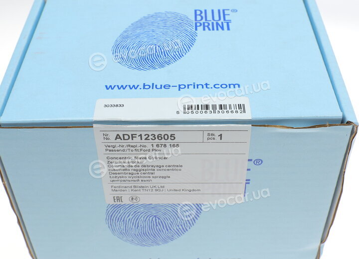 Blue Print ADF123605
