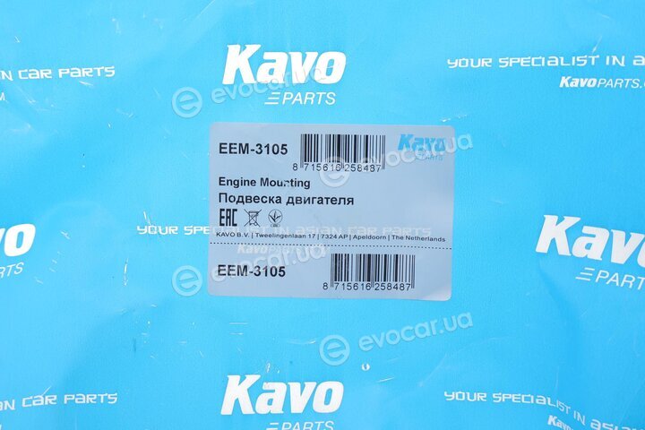 Kavo EEM-3105