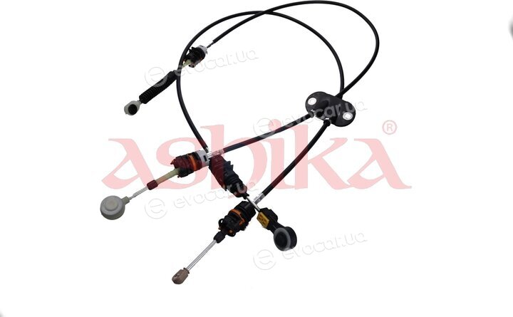 Ashika 167-00-0300