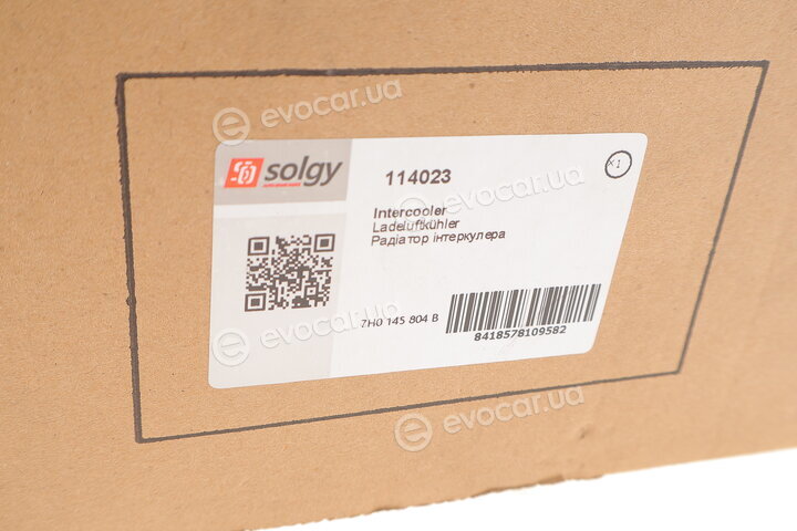 Solgy 114023