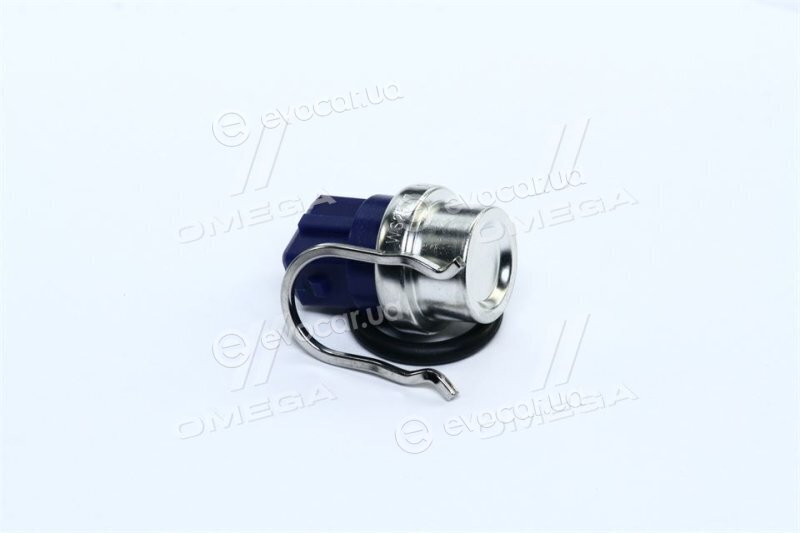Vernet / Calorstat WS2577