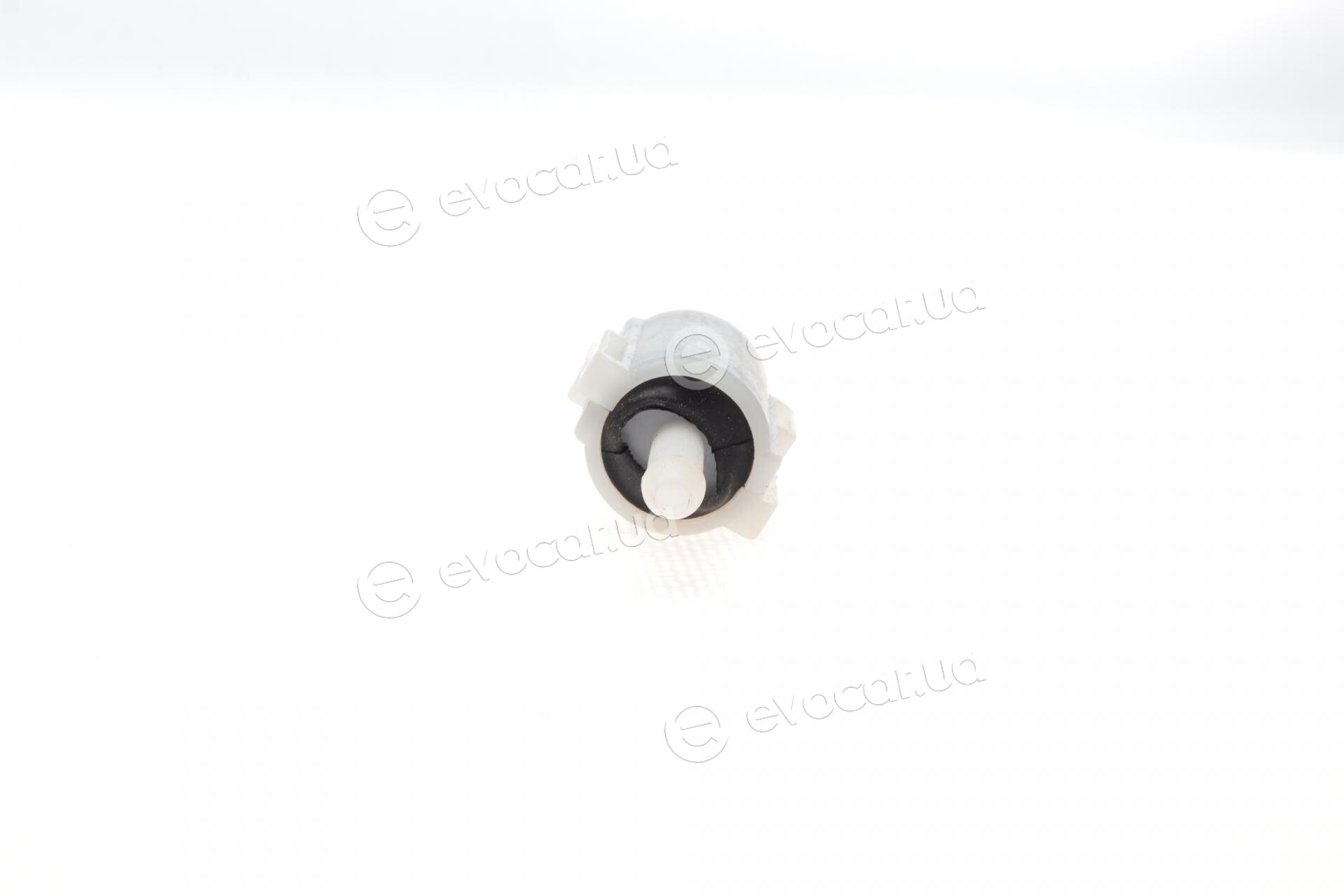 Solgy 307012