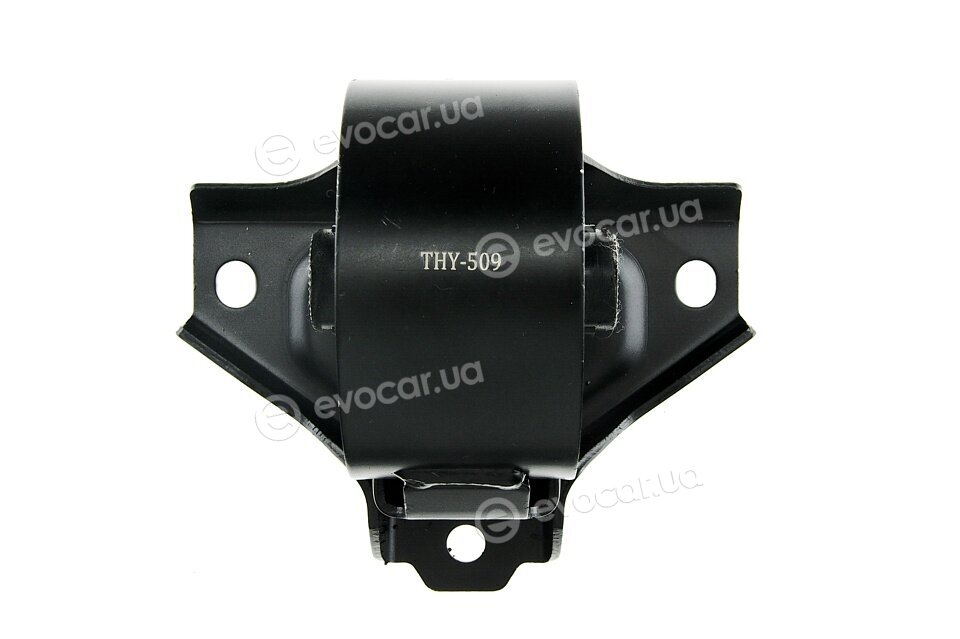 NTY ZPS-HY-509